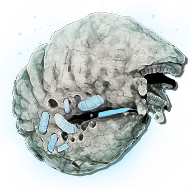 Enhanced Umbral Burrower throwable icon from Lords of the Fallen