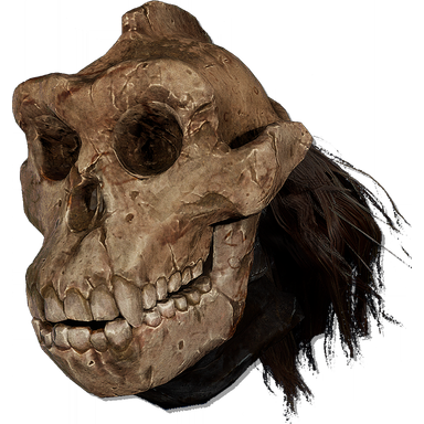 J'deyl Skull Helm head armor icon from Lords of the Fallen
